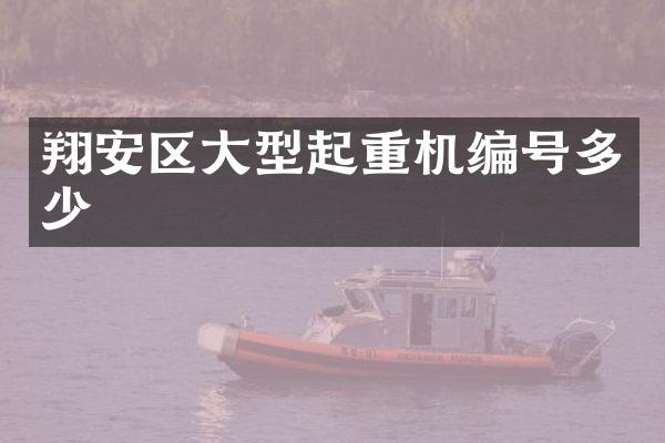 翔安區(qū)大型起重機編號多少