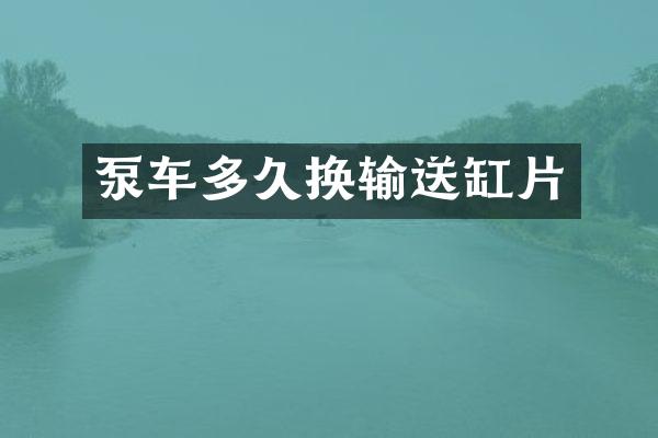 泵車多久換輸送缸片