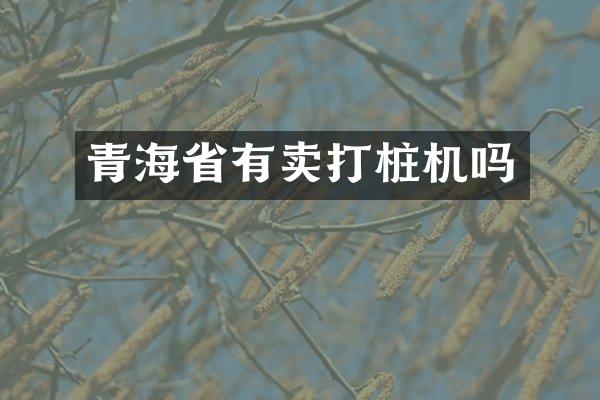 青海省有賣(mài)打樁機(jī)嗎