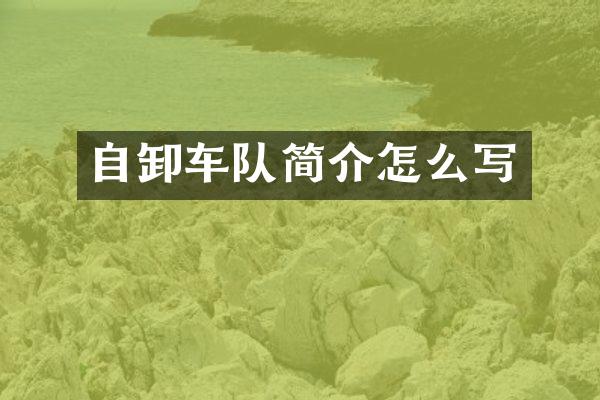 自卸车队简介怎么写