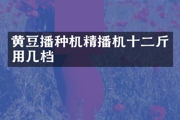 黄豆播种机精播机十二斤用几档
