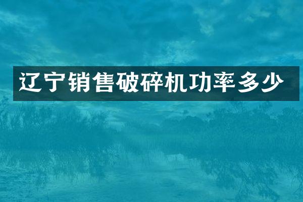 辽宁销售破碎机功率多少