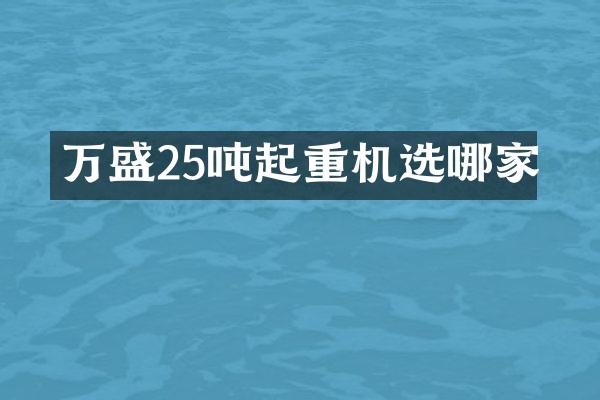 萬盛25噸起重機選哪家