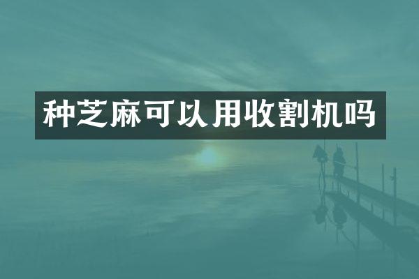 種芝麻可以用收割機(jī)嗎