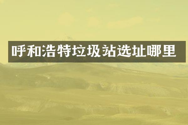 呼和浩特垃圾站选址哪里