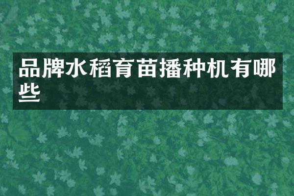 品牌水稻育苗播种机有哪些