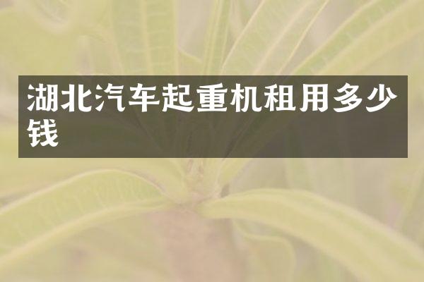 湖北汽車起重機(jī)租用多少錢
