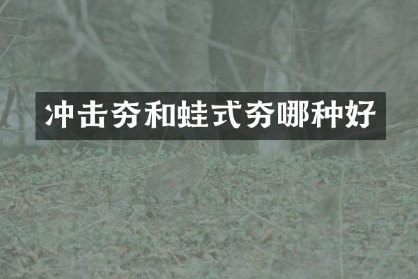 冲击夯和蛙式夯哪种好