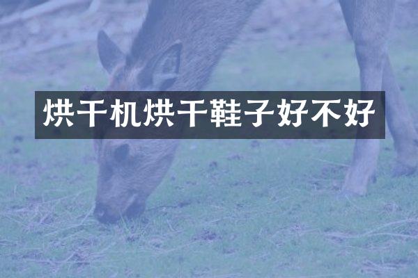 烘干機烘干鞋子好不好