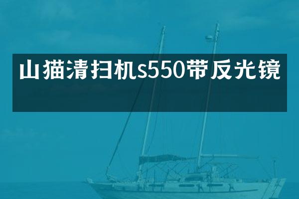 山猫清扫机s550带反光镜吗
