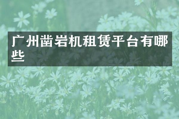 广州凿岩机租赁平台有哪些