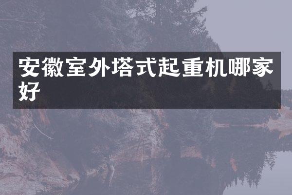 安徽室外塔式起重机哪家好