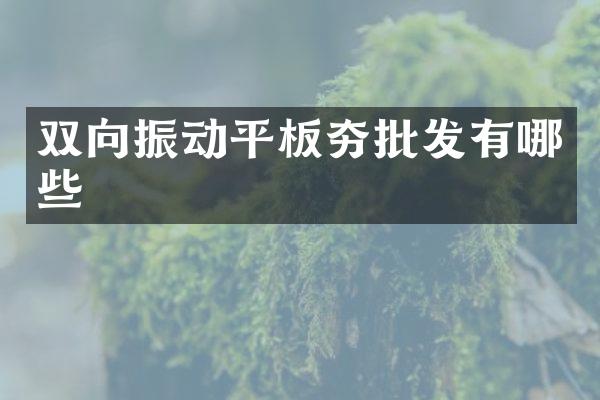 双向振动平板夯批发有哪些