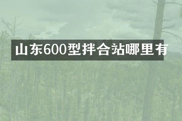 山东600型拌合站哪里有