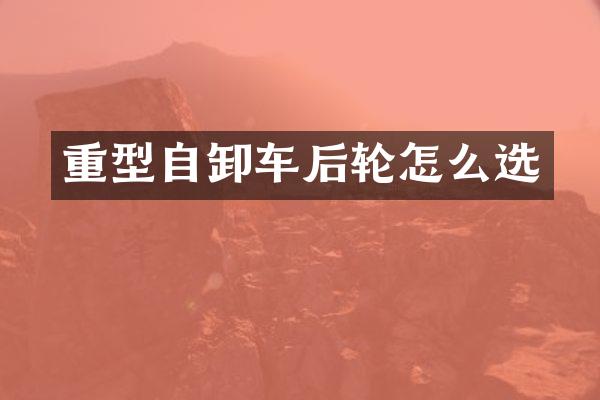 重型自卸车后轮怎么选