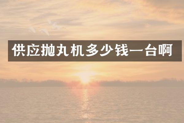 供應(yīng)拋丸機(jī)多少錢(qián)一臺(tái)啊