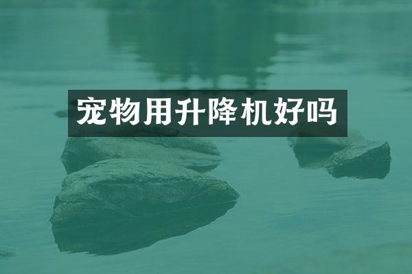 宠物用升降机好吗