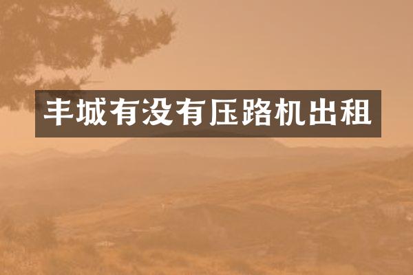 丰城有没有压路机出租