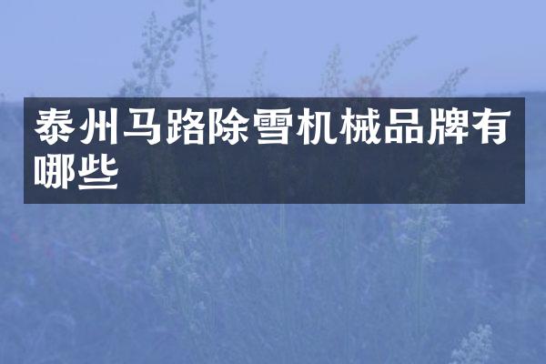 泰州馬路除雪機(jī)械品牌有哪些