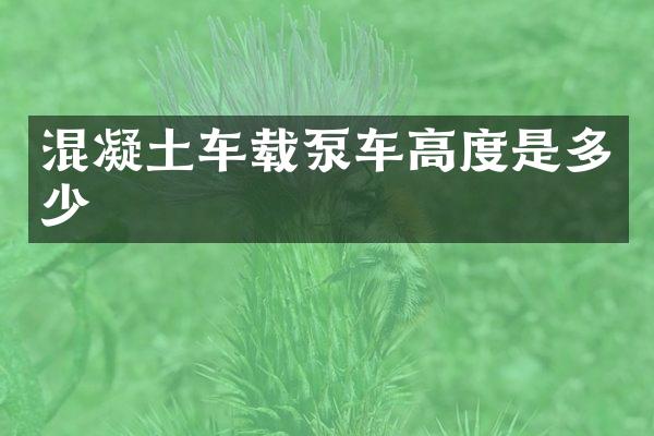 混凝土車(chē)載泵車(chē)高度是多少