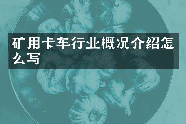 矿用卡车行业概况介绍怎么写