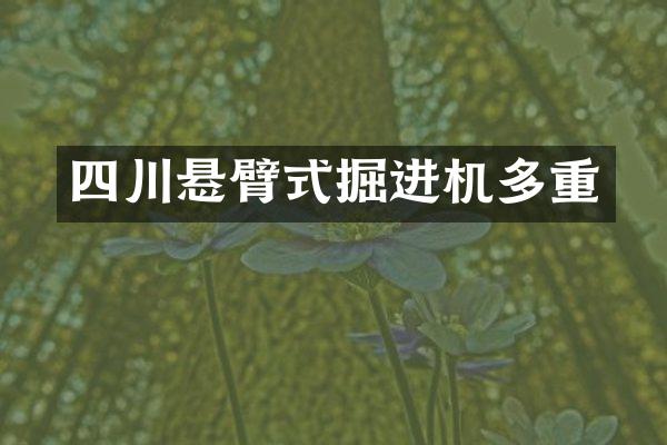 四川悬臂式掘进机多重