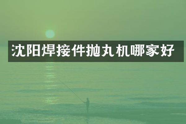 沈陽焊接件拋丸機哪家好