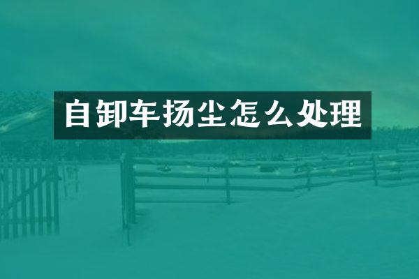 自卸车扬尘怎么处理