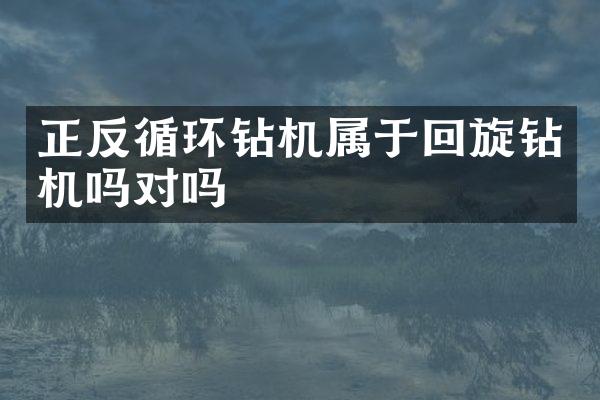 正反循環(huán)鉆機(jī)屬于回旋鉆機(jī)嗎對(duì)嗎
