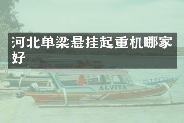 河北单梁悬挂起重机哪家好