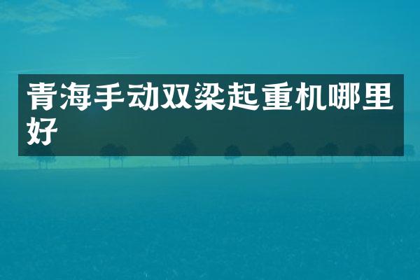 青海手动双梁起重机哪里好
