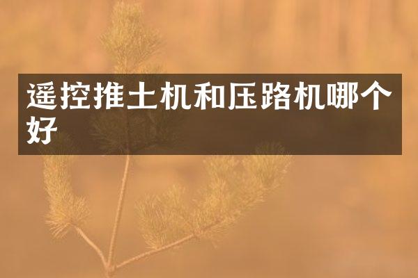 遥控推土机和压路机哪个好