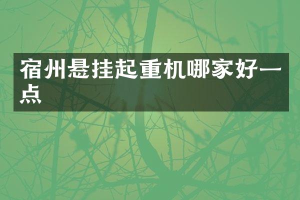宿州悬挂起重机哪家好一点