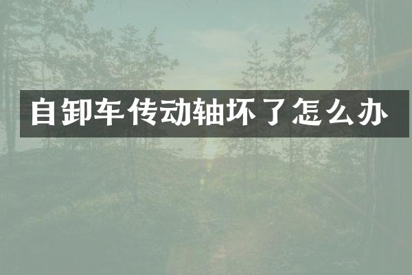 自卸车传动轴坏了怎么办