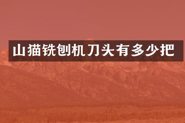 山猫铣刨机刀头有多少把