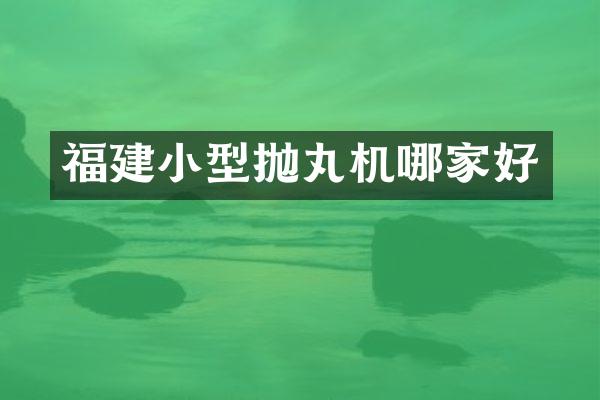 福建小型抛丸机哪家好