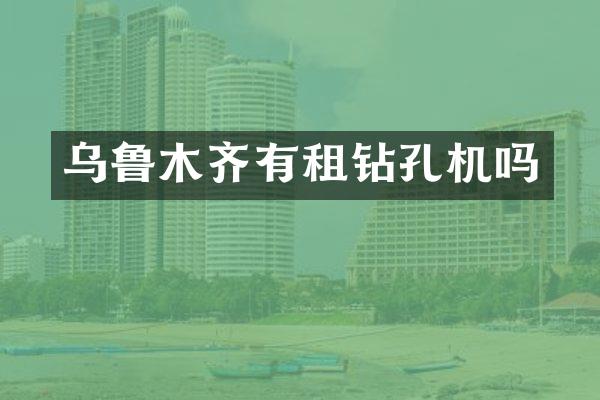 乌鲁木齐有租钻孔机吗