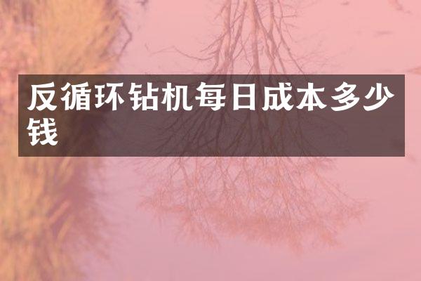 反循环钻机每日成本多少钱