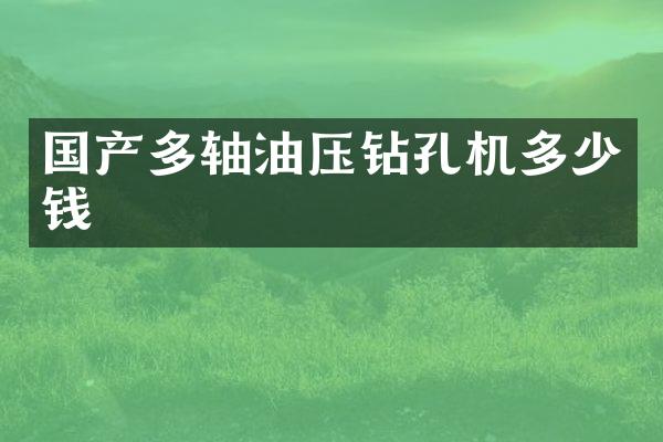 国产多轴油压钻孔机多少钱
