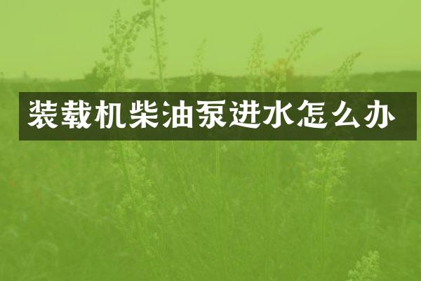 装载机柴油泵进水怎么办