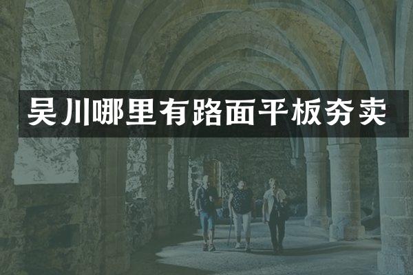 吴川哪里有路面平板夯卖