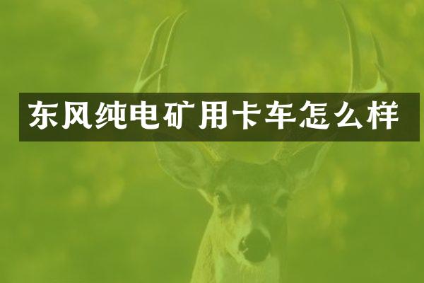 东风纯电矿用卡车怎么样