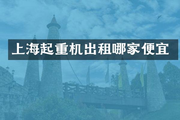 上海起重机出租哪家便宜