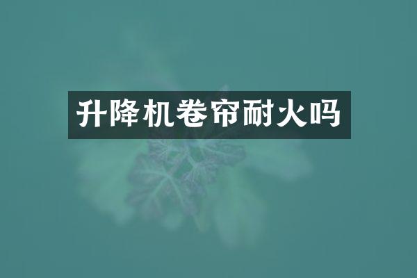 升降机卷帘耐火吗