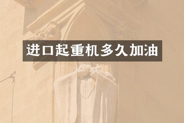 进口起重机多久加油