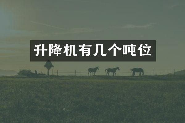 升降机有几个吨位