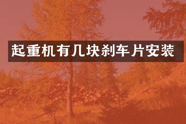 起重机有几块刹车片安装