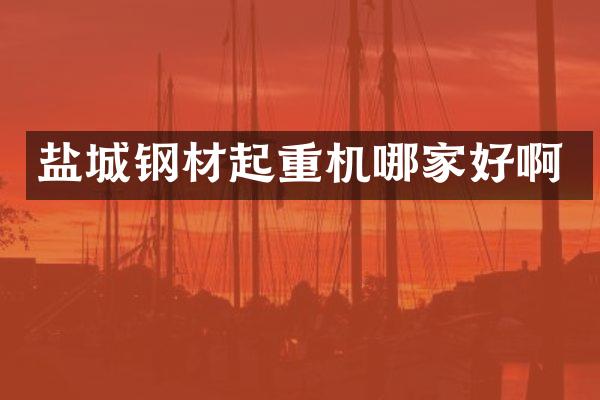 盐城钢材起重机哪家好啊