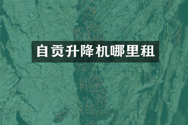自贡升降机哪里租