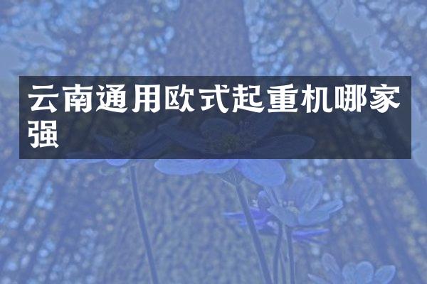 云南通用欧式起重机哪家强
